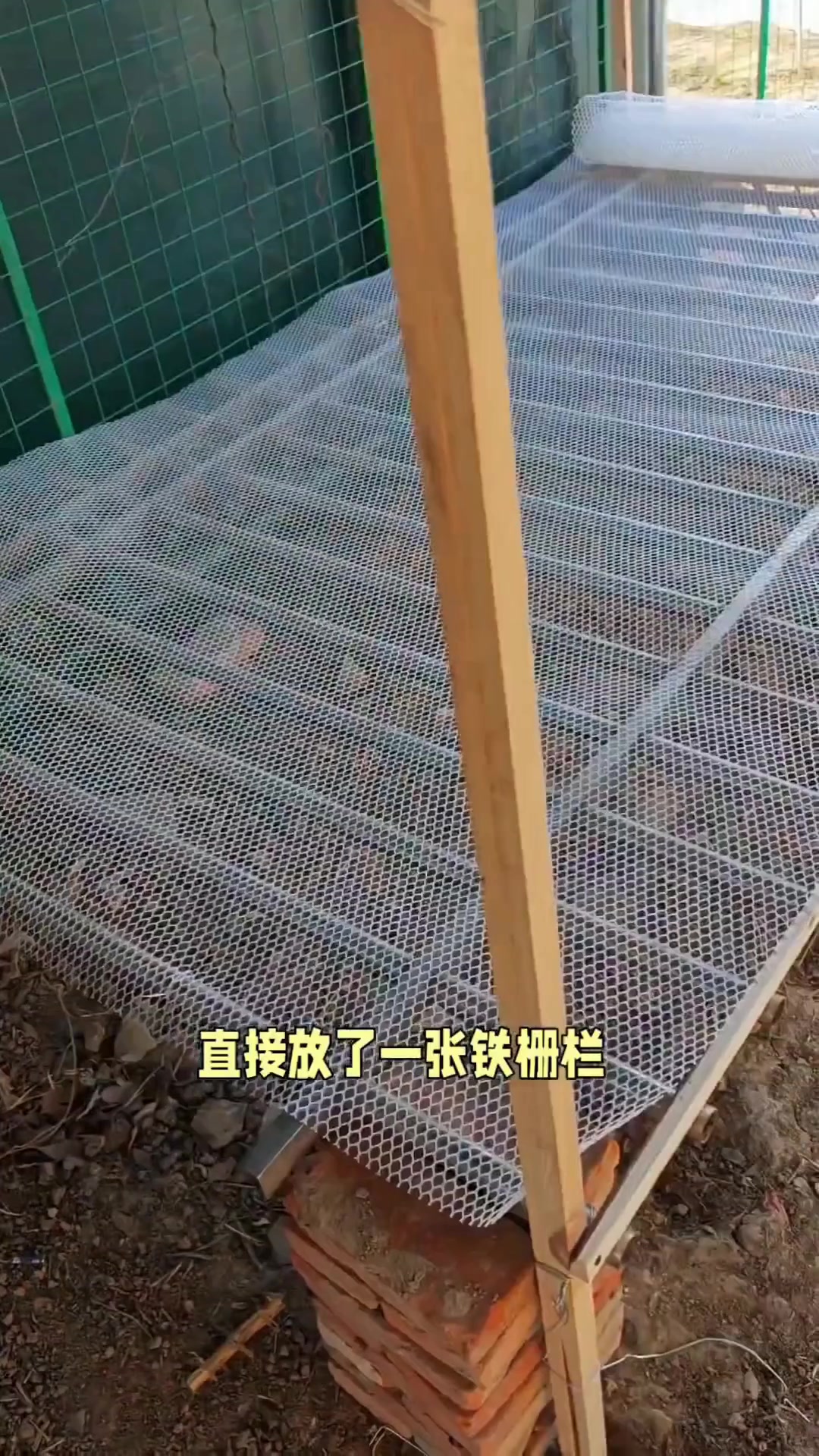 自制超大鸡笼，就地取材最实用