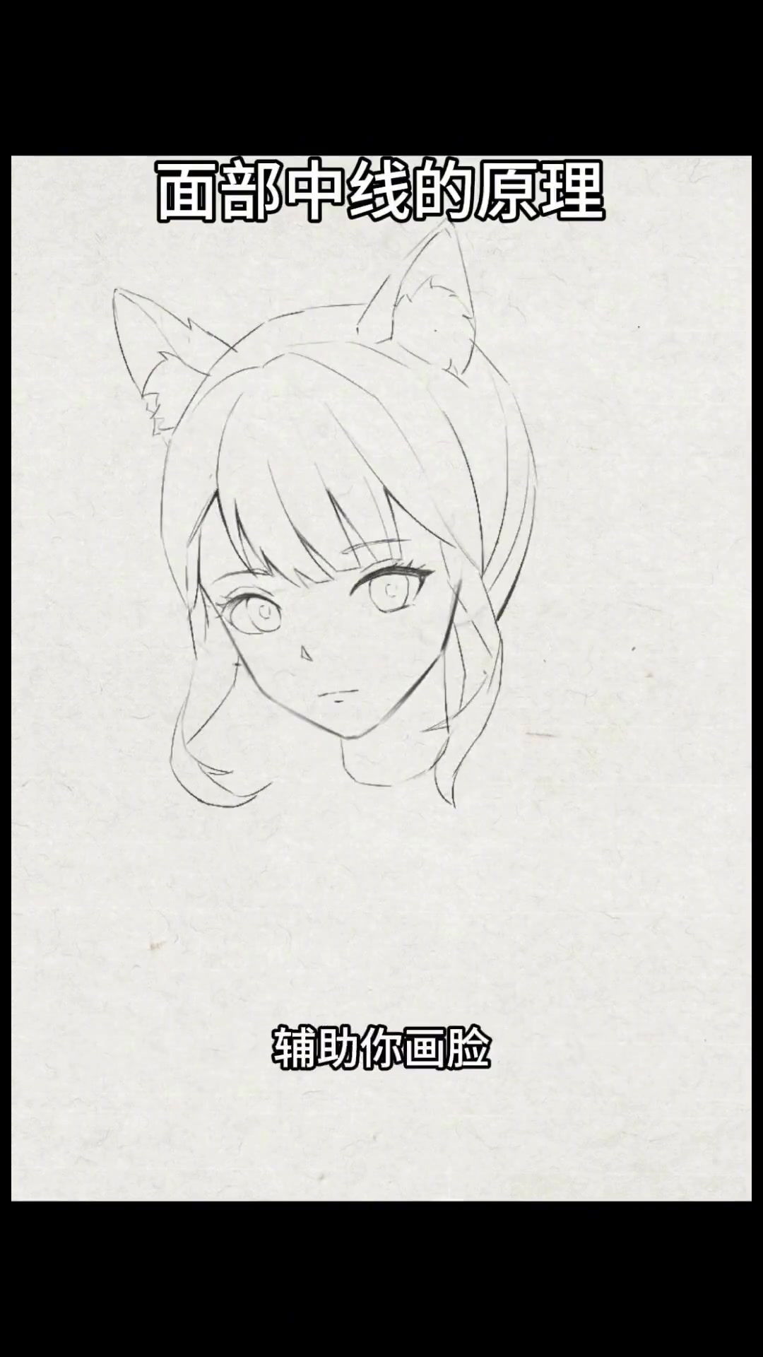 怎么画漫画人物的面部中线啦
