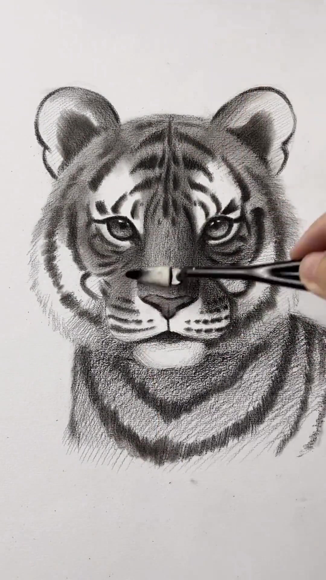 零基础素描老虎教程，不信你学不会