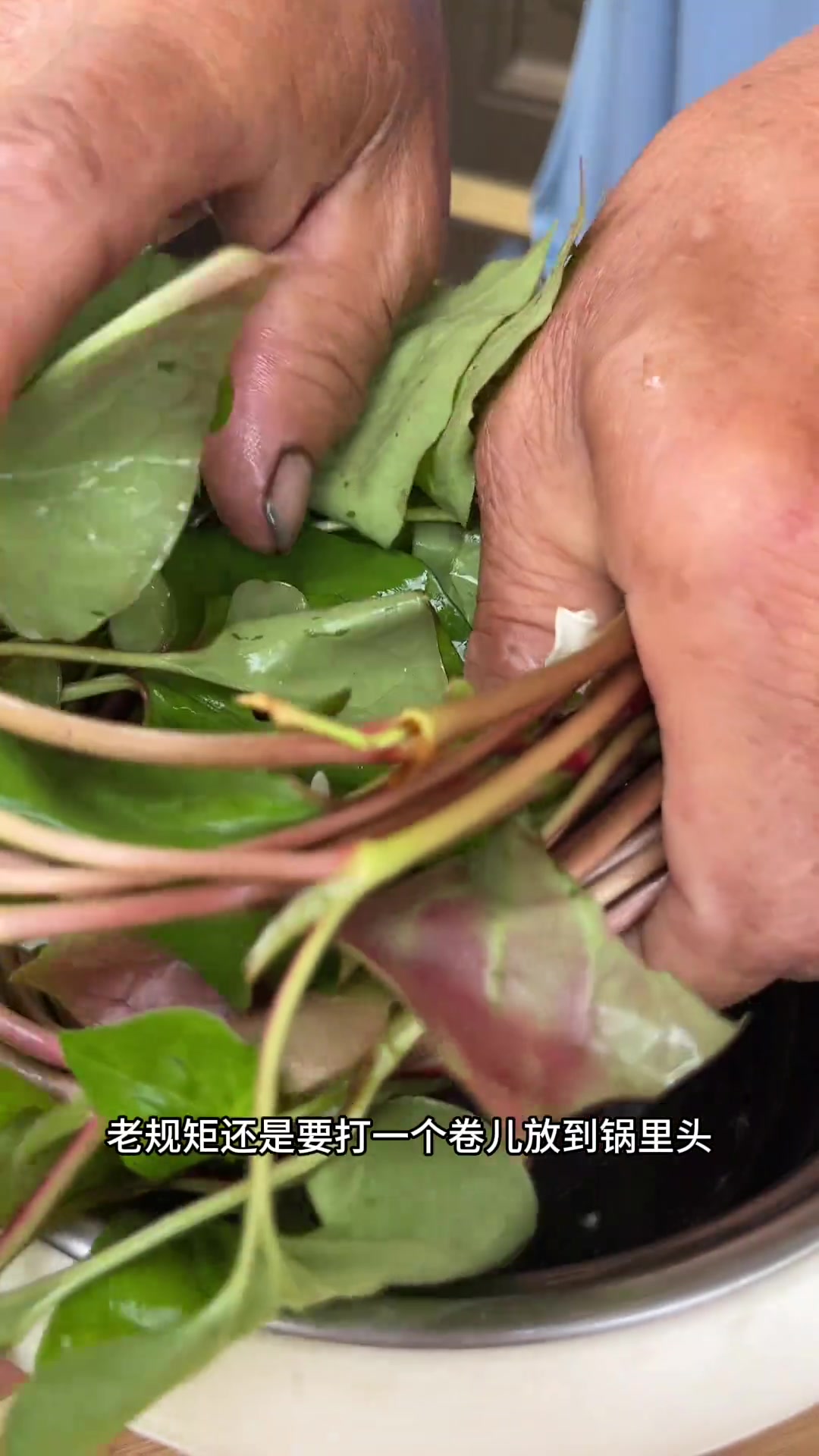 健康科普：鱼腥草的功效与作用