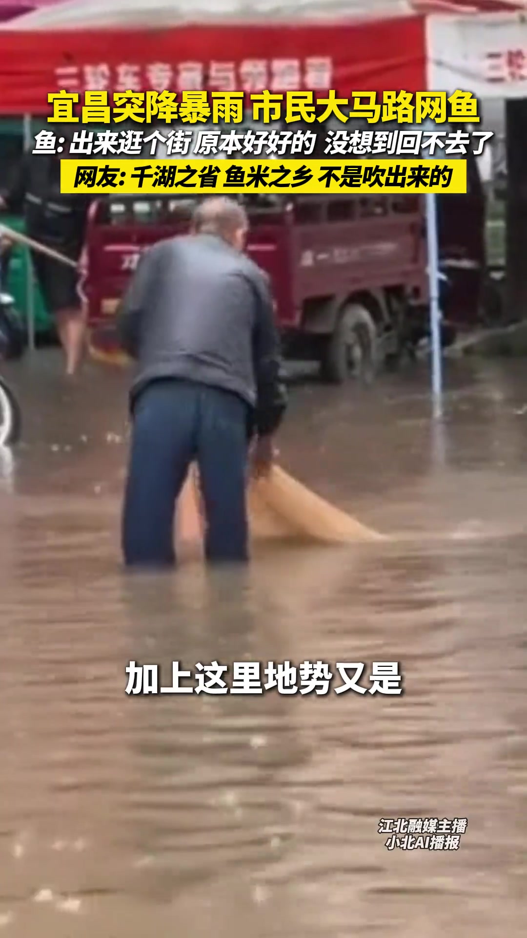 宜昌突降暴雨 市民大马路网鱼,鱼:出来逛个街 原本好好的 没想到回不去了,网友:千湖之省 
