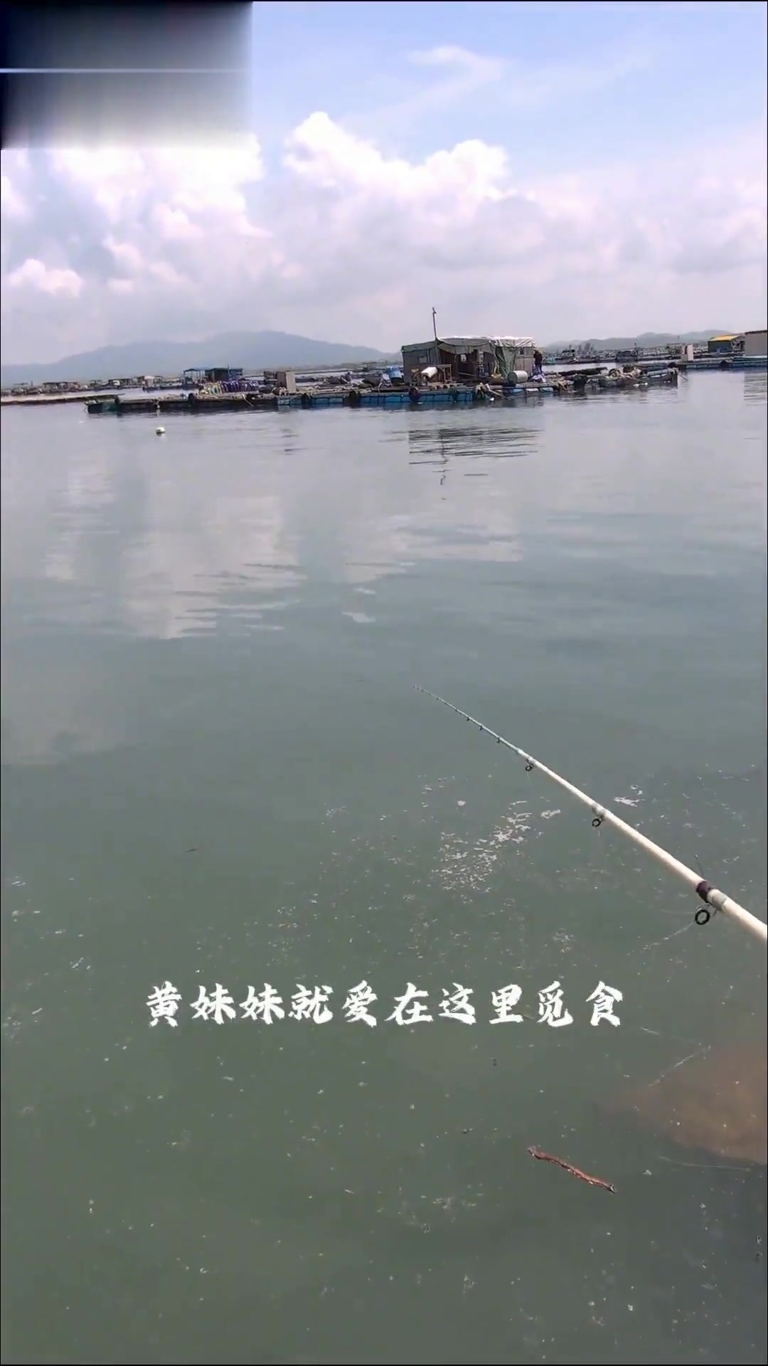 鱼排筏钓找鱼技巧,召唤黄脚术