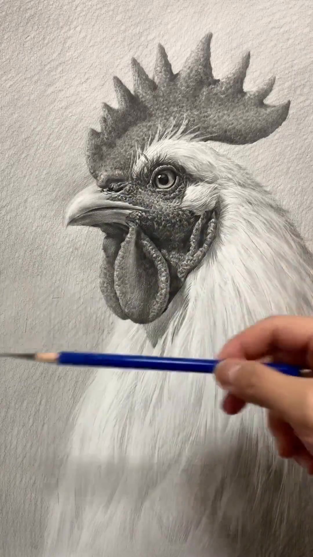 素描课很实用,能教大家掌握绘画技巧