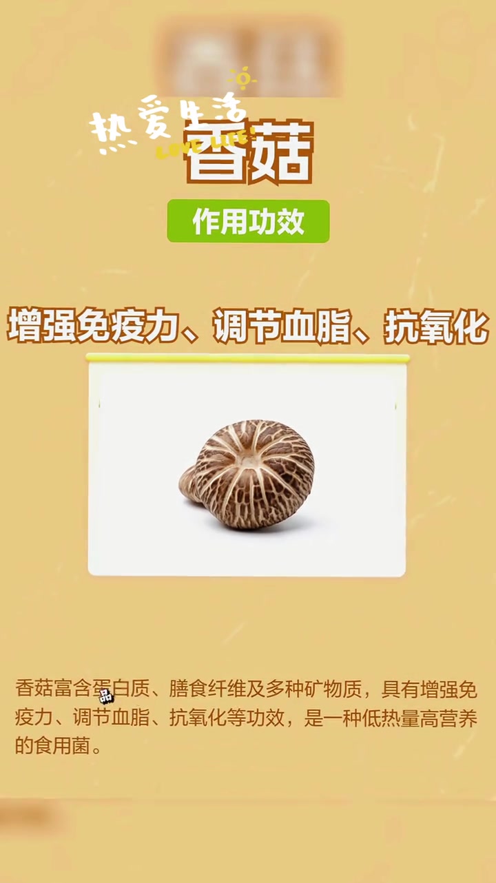 养生健康：香菇的营养价值及功效
