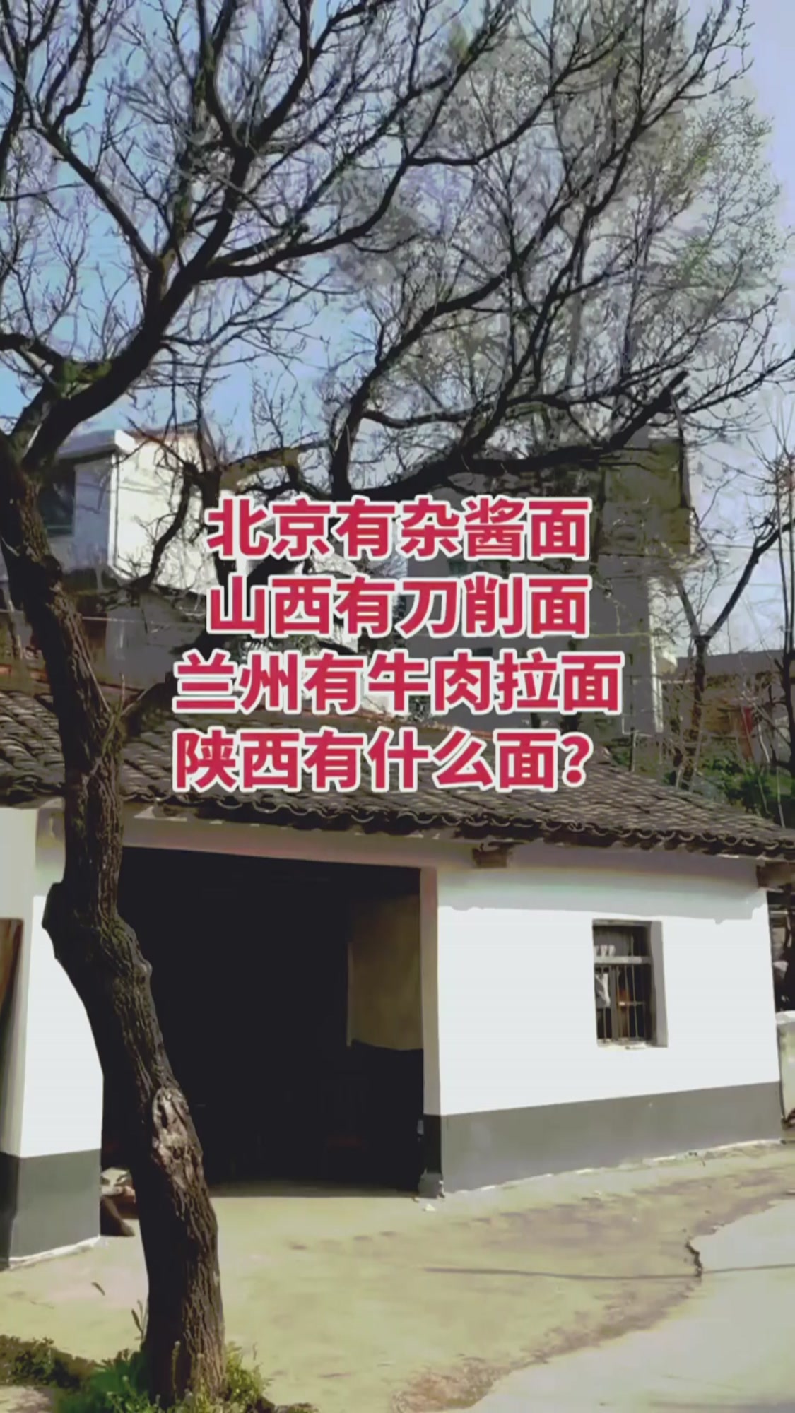 陕西都有些什么面?#农村老房子 #小山村 #面食 #陕西面食 #陕西dou知道