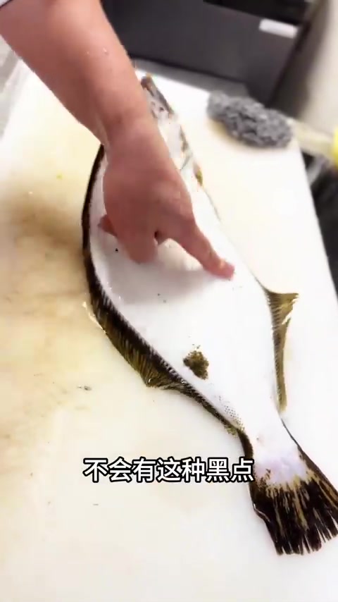 鸦片鱼刺身！食材新鲜才是硬道理