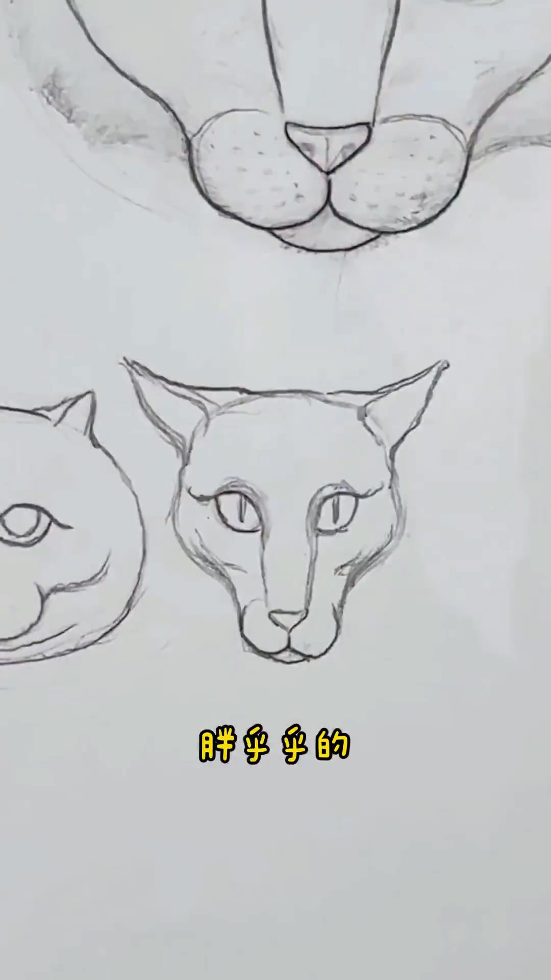 教你画可爱猫猫、小猫的素描教程