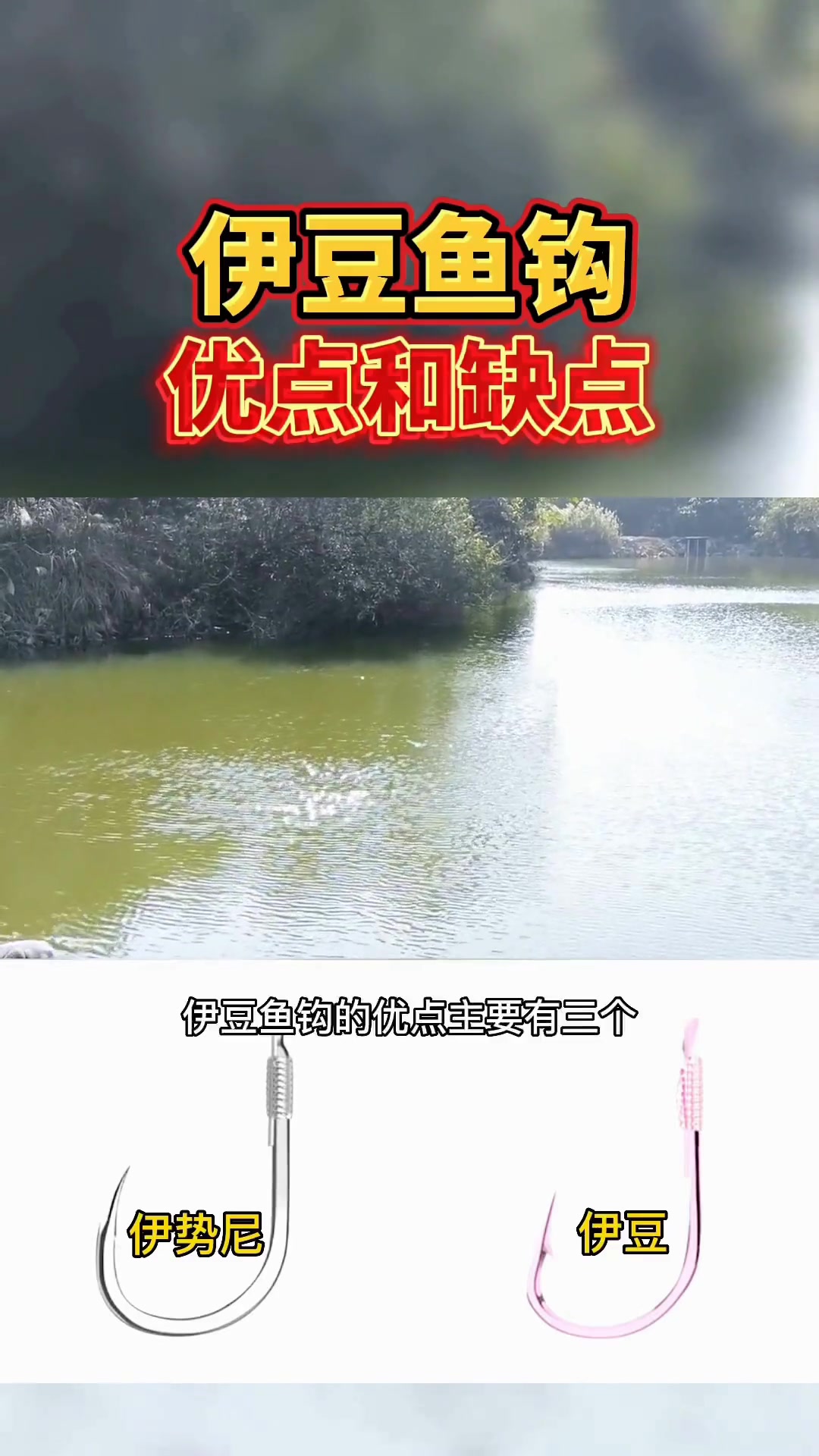 伊豆鱼钩到底有哪些优点和缺点