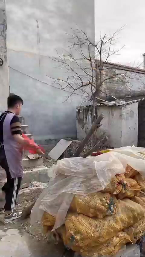 家人们晚上好,你们喝了吗?今晚俺家蒸大馒头和枣卷子