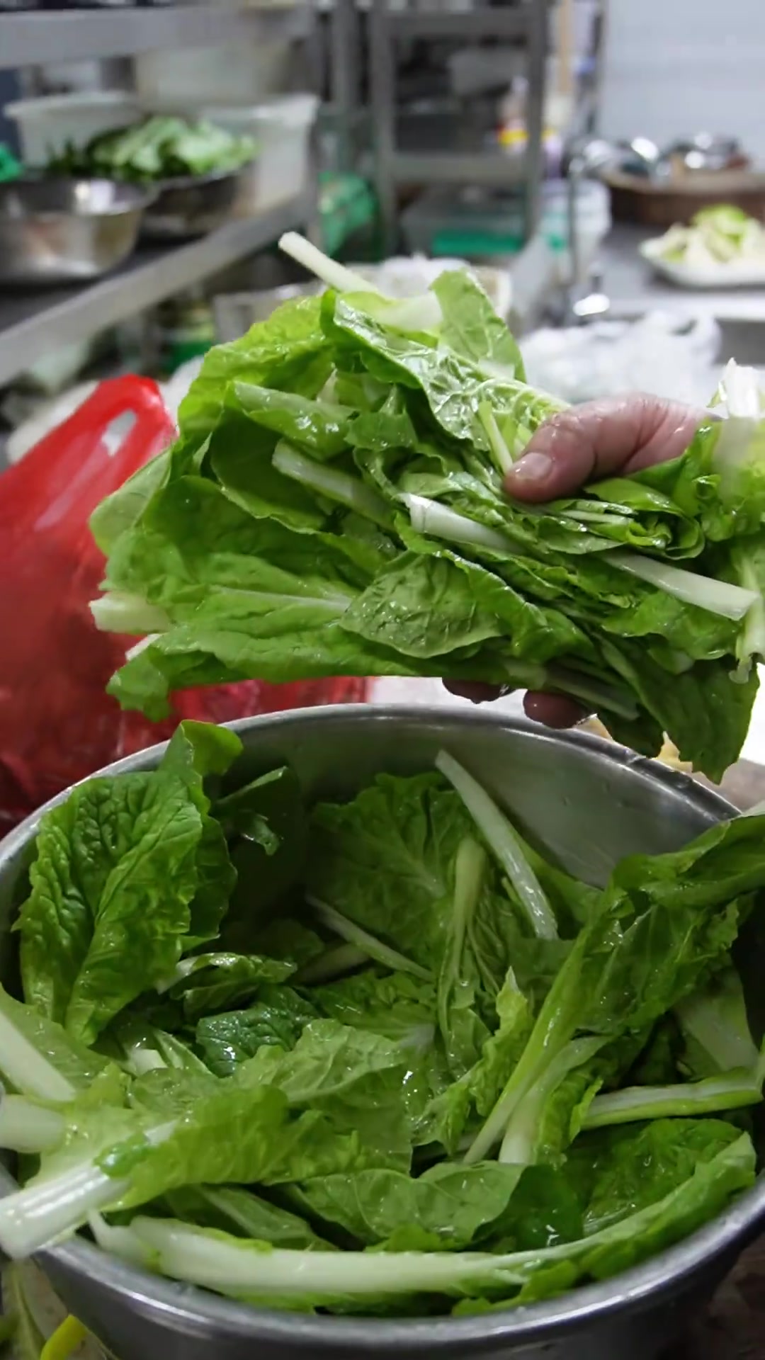 毛白菜豆腐 简单的白菜和豆腐这个味道真好！#豆腐 #白菜 #毛白菜