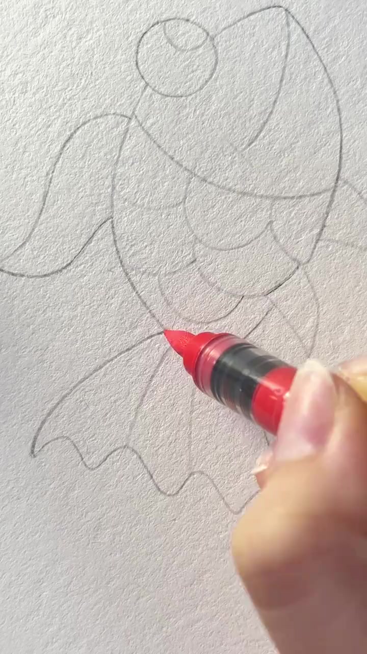 什么鱼是彩色尾巴的