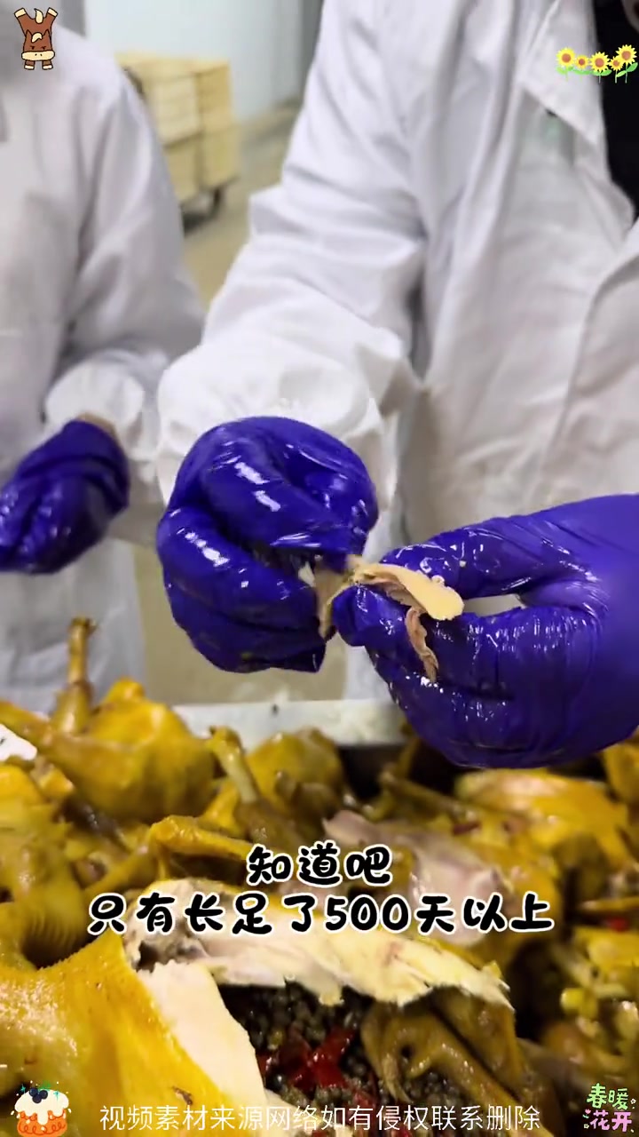 「老母鸡制作」正宗麻椒鸡 整只麻椒鸡新鲜制作 900g以上「老母鸡制作」正宗麻椒鸡 整只麻