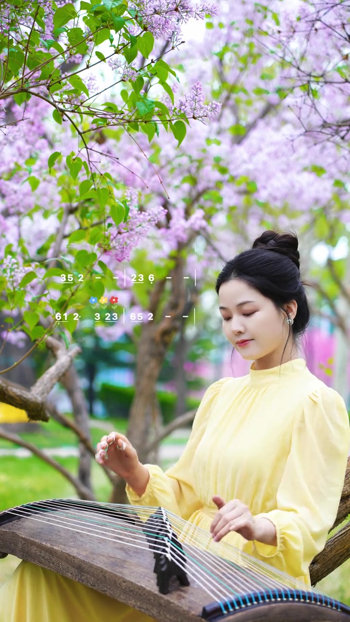 一花一世界、一叶一菩提。火热的五一，需要一首静心的曲子