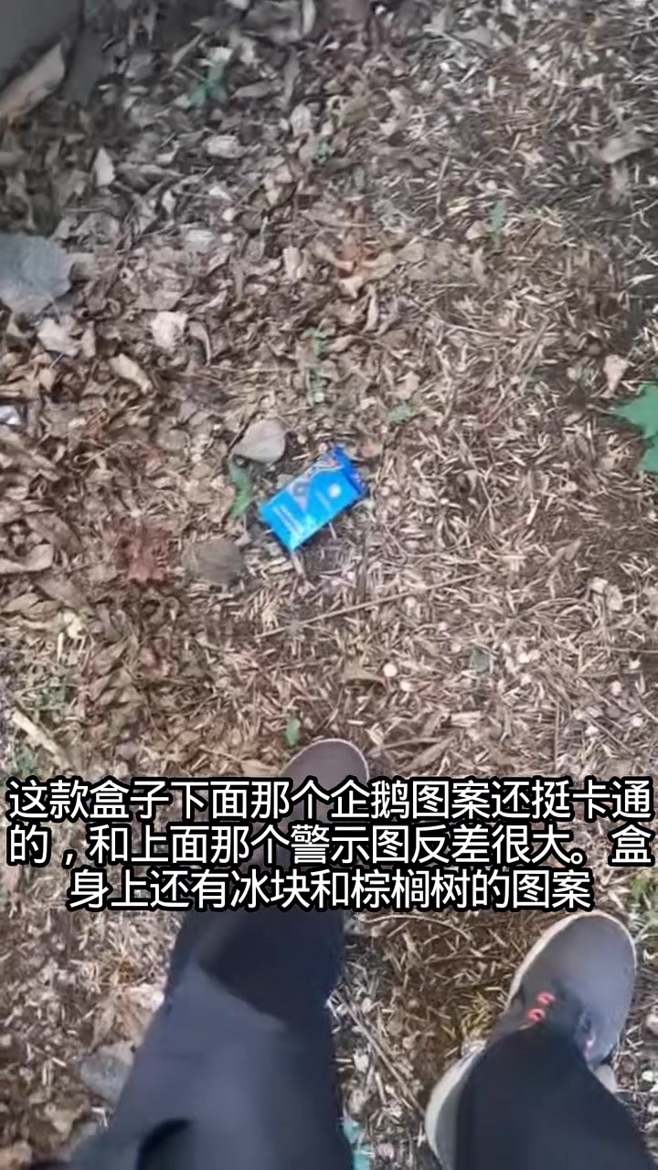 卡通企鹅和警示图反差很大