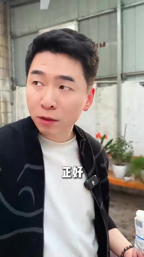 开春鲅鱼才是第一鲜。一条大鲅鱼能做几种吃法