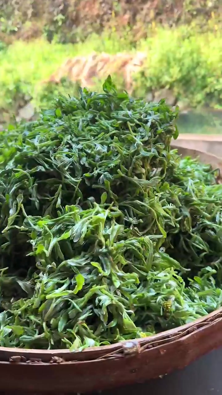 手工制作传统青团的全过程完整记录