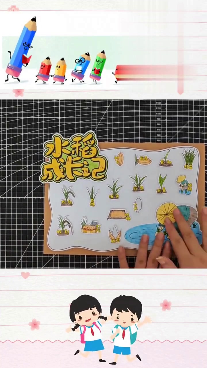 自制水稻手抄报，记录大米一生的植物观察立体粘贴画
