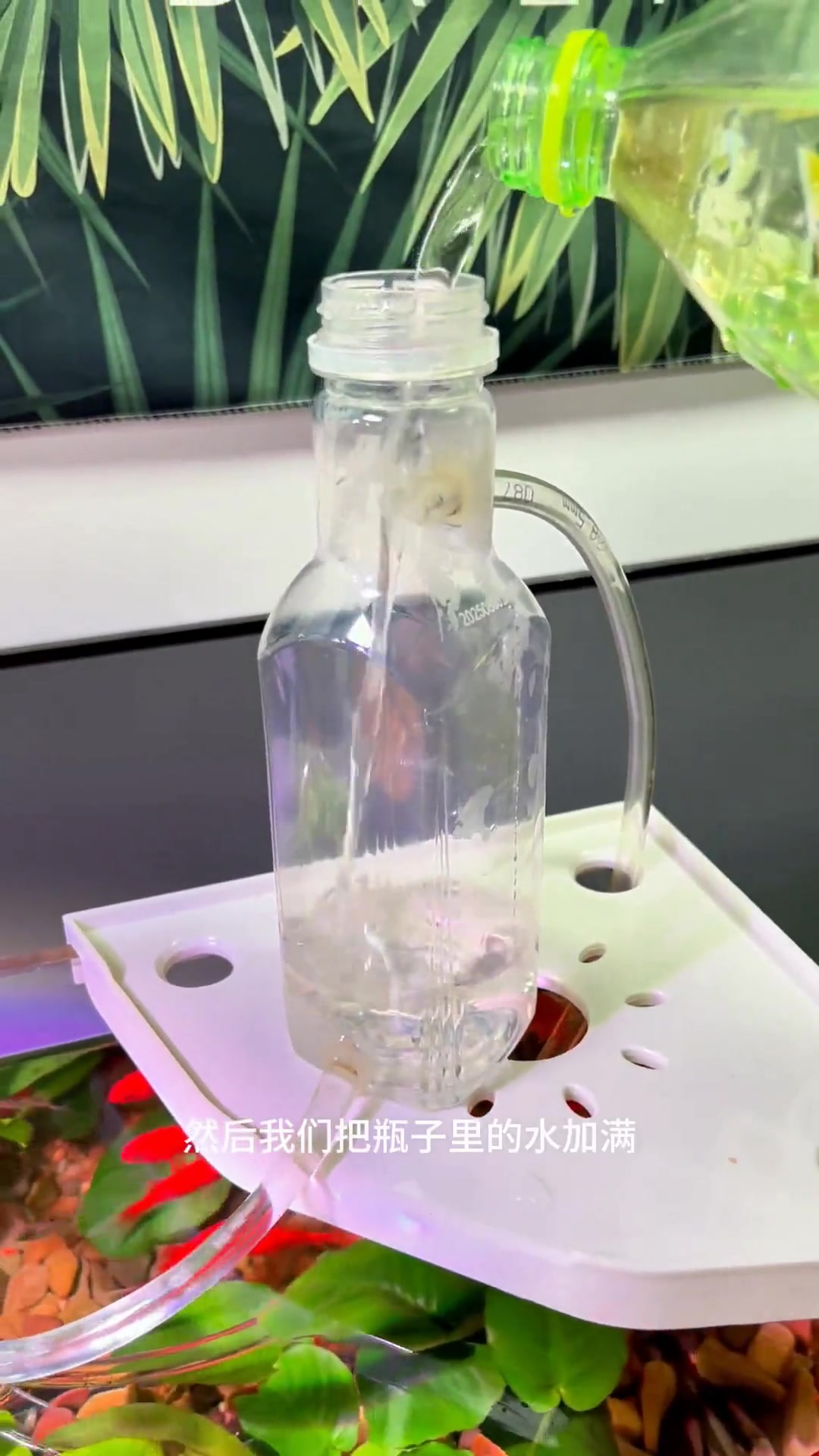 无水泵自制过滤器，不用水泵就能制作的鱼缸过滤器