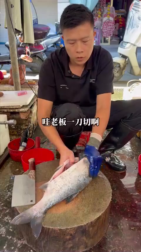 无骨大头鱼,小刺在哪一摸就知道