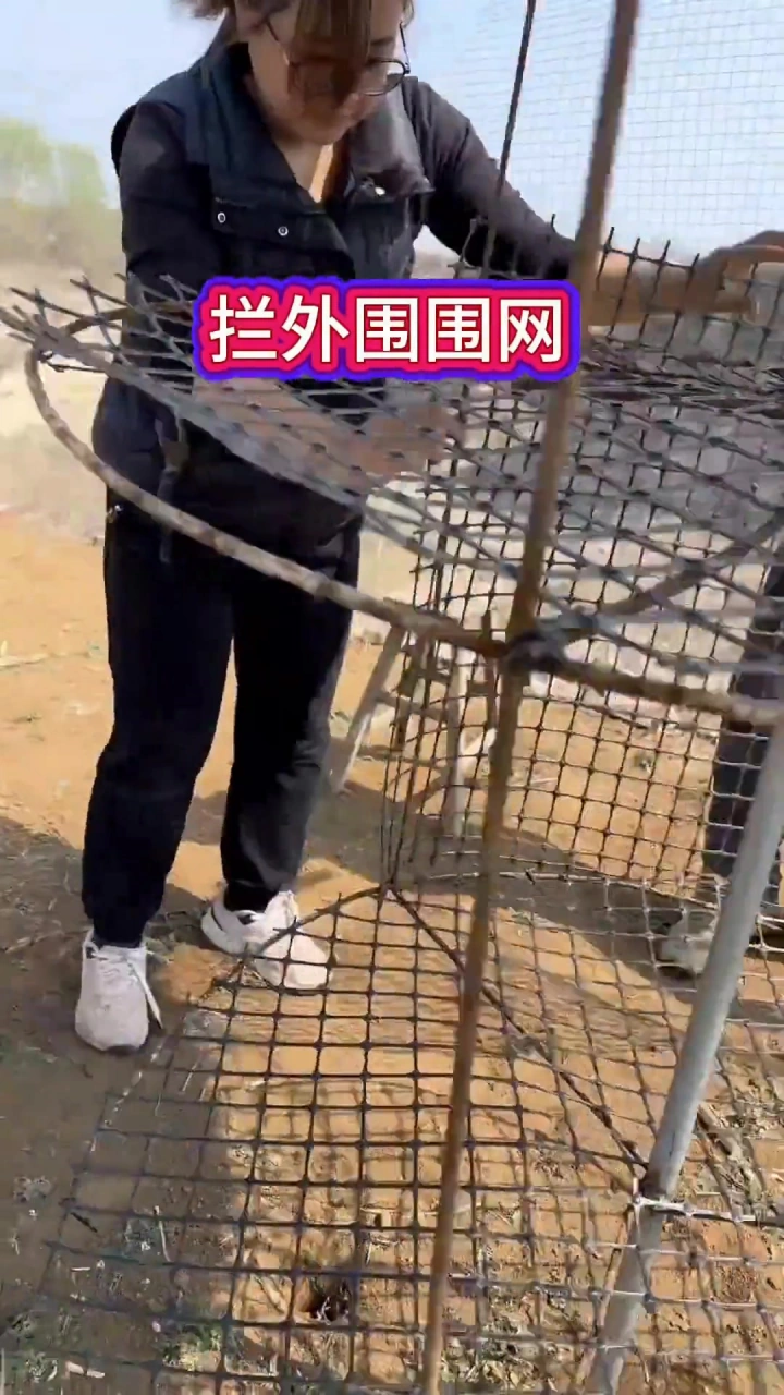 不花钱的简易鸡窝搭建教程来了