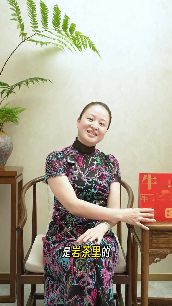 口播分享,带你认识武夷岩茶肉桂