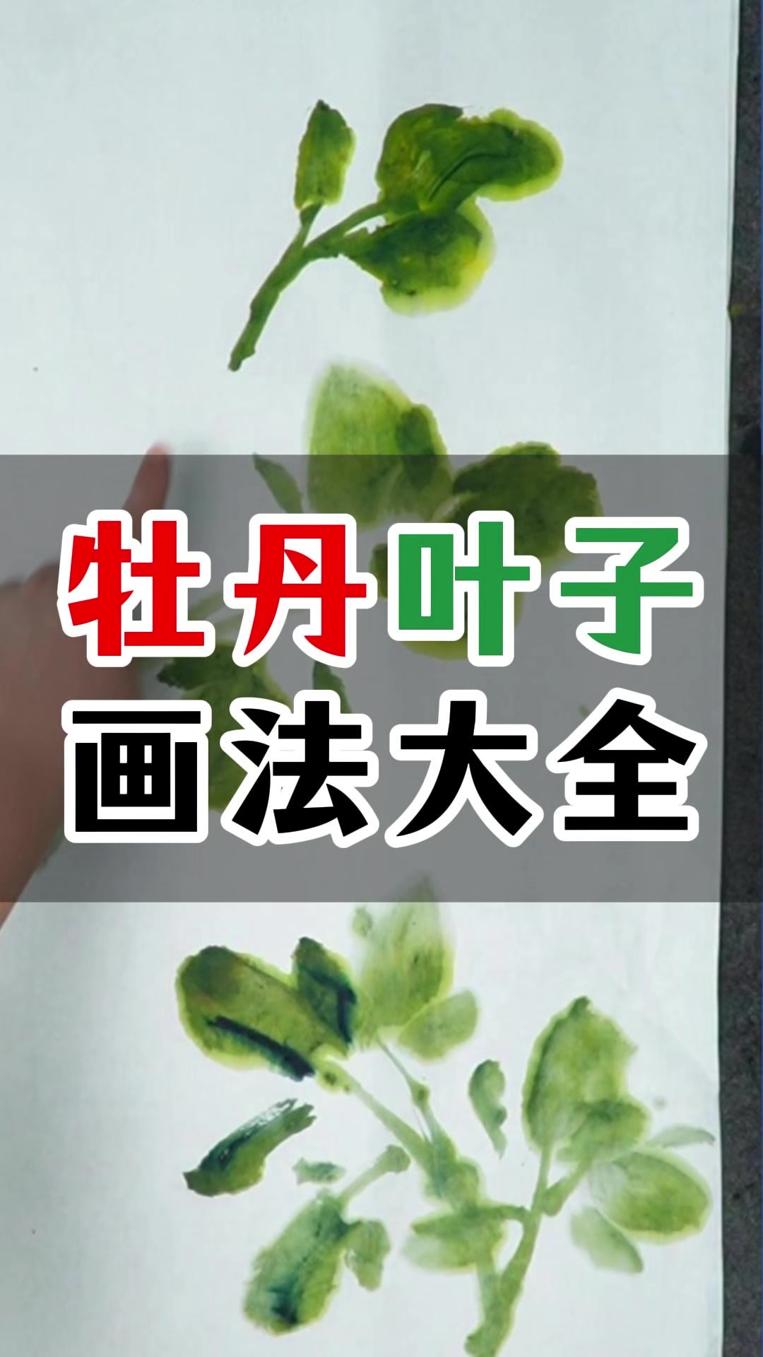 399牡丹叶子画法大全#国画花鸟 #国画入门 #国画教程 #赵素芳国画 #画家赵素芳 #赵