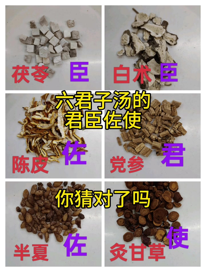 中医知识分享：看中药猜方，明辨君臣佐使