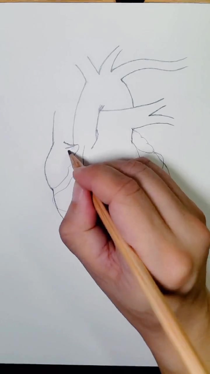 第一集简笔画心脏零基础学手绘铅笔画