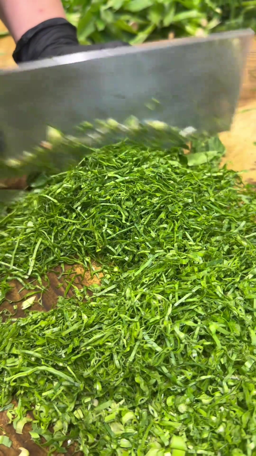 横县鱼生必备配料,广东香菜纯手工切菜