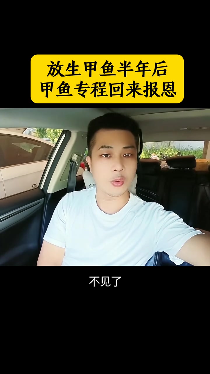 #喜爱度激励计划 放生甲鱼半年后，甲鱼专程回来报恩 #有趣的视频 #分享有趣的视频
