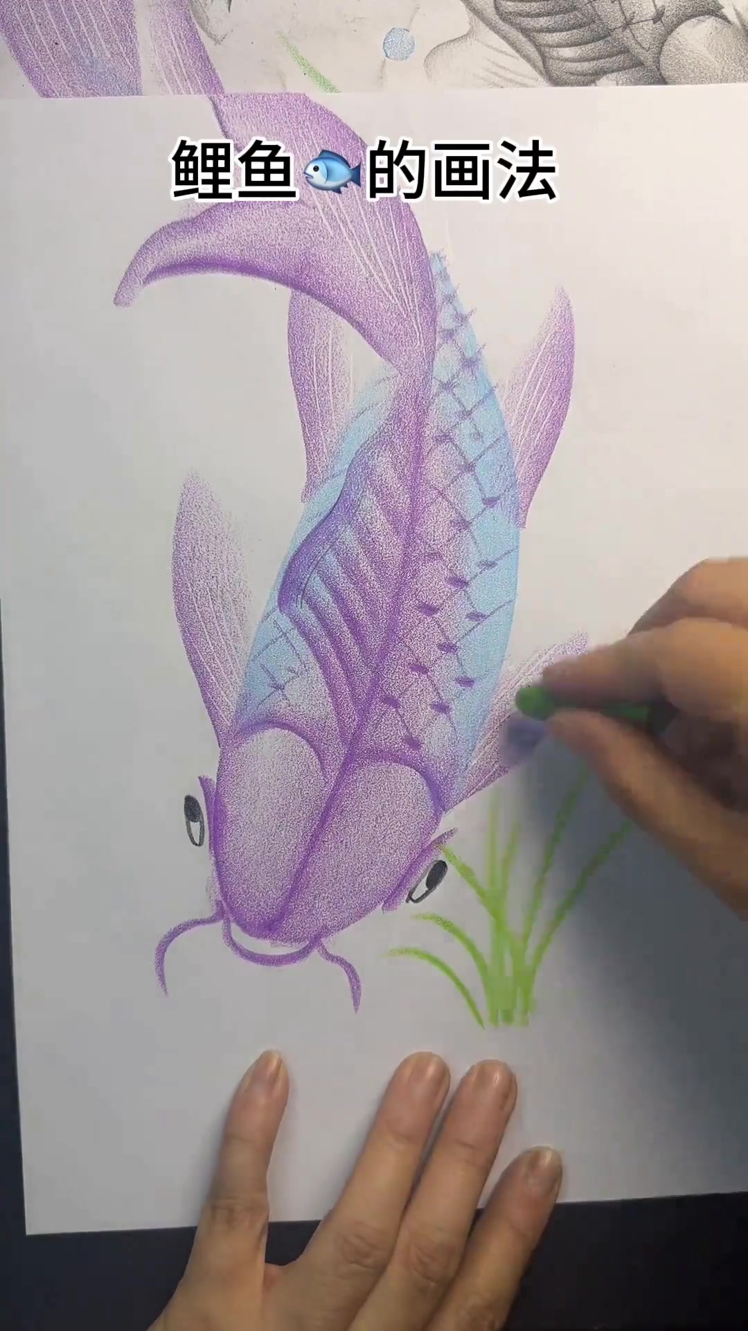 鲤鱼的画法，彩色鱼油画棒0基础学画画儿童画教程