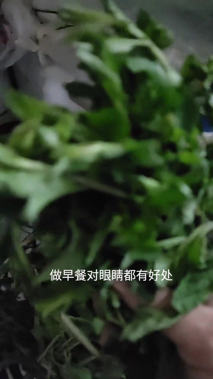 养生健康：枸杞叶的功效作用