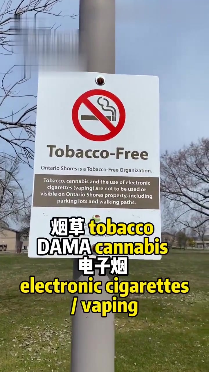 学英语可不能只知道是免费，要多实战练习才有用
