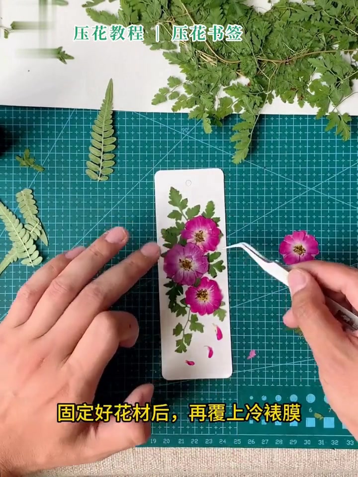 利用植物制作压花书签的简单小教程