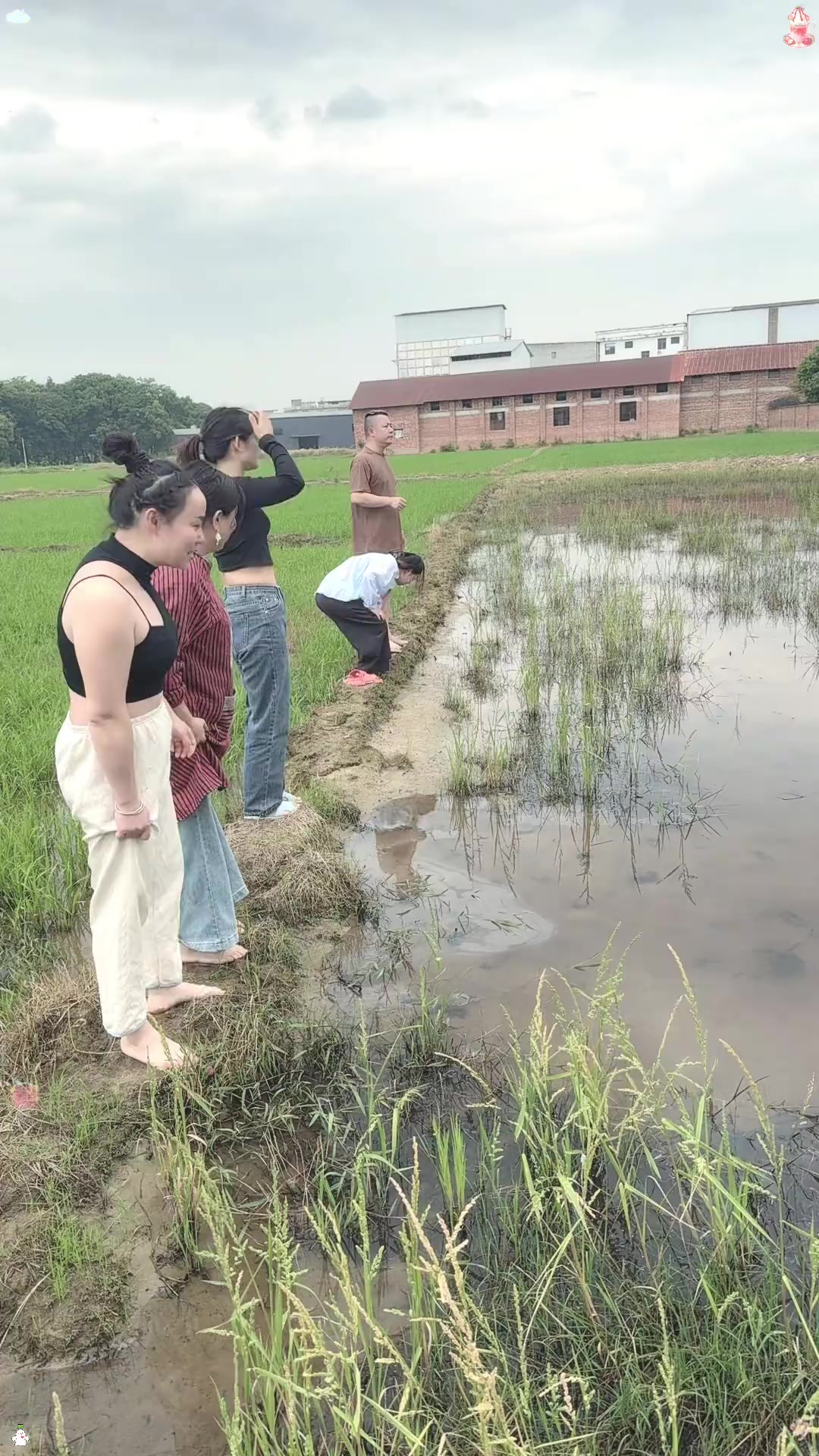 鸡西市随拍，记录城市瞬间