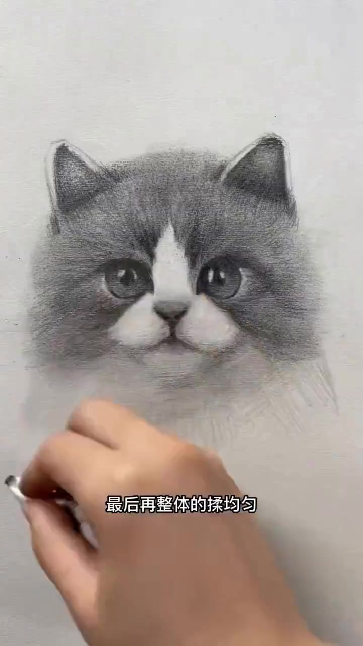 超详解素描小奶猫，零基础也能学画画