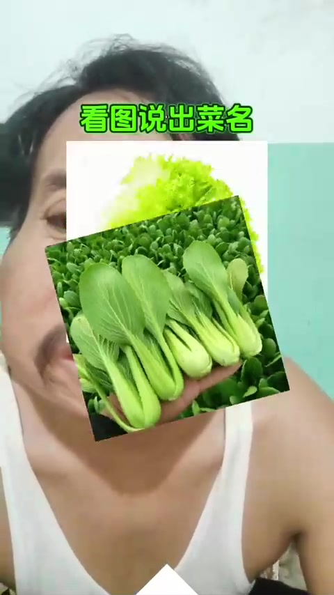 看图说青菜