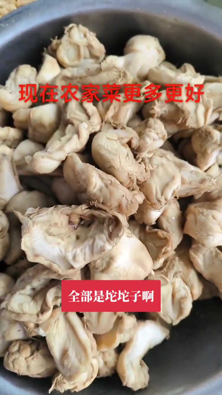 展示多样农家菜种类丰富齐全