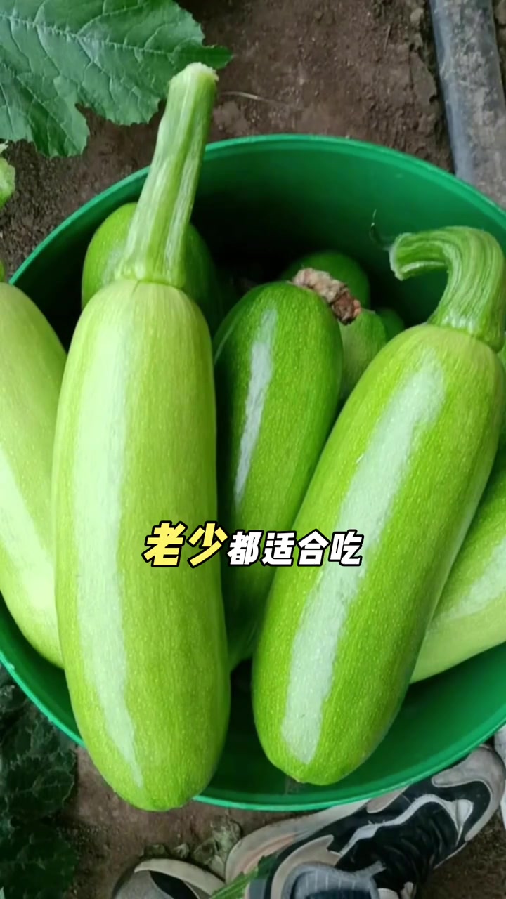 西葫芦的营养价值及功效，以及做法