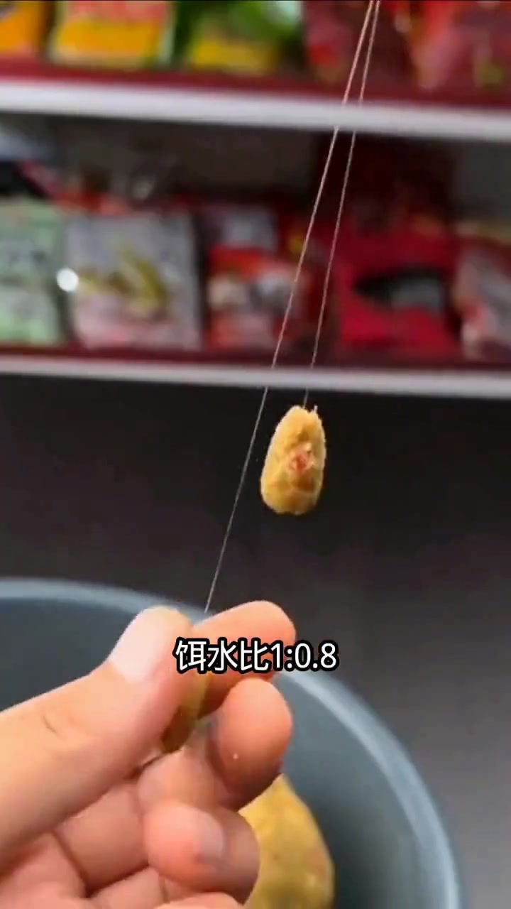 超实用鲤鱼垂钓技巧第二期详细内容