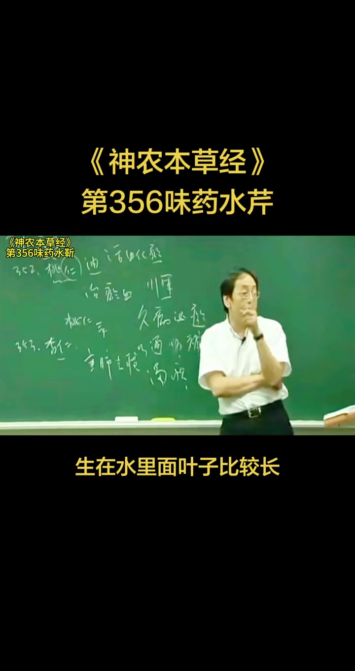 养生健康：讲水芹菜的药用功效