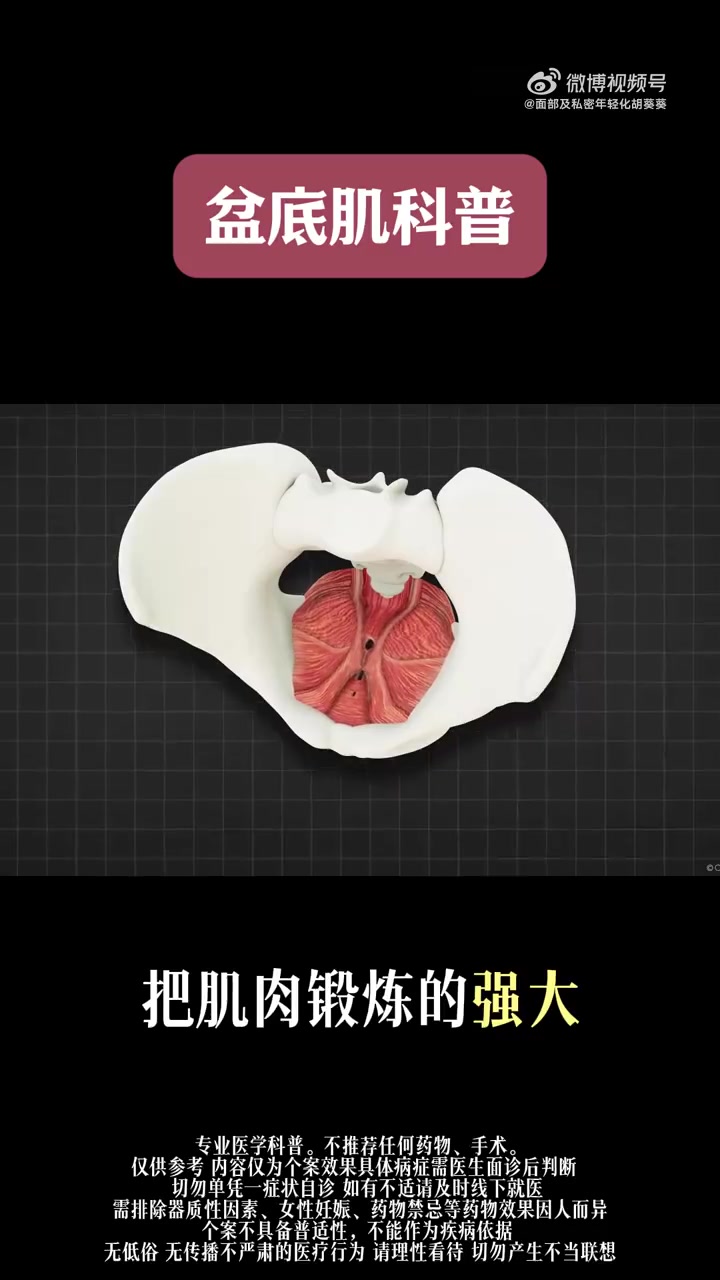 盆底肌的重要性，看完视频你就懂了#医学科普##女性##盆底肌##广州胡葵葵#