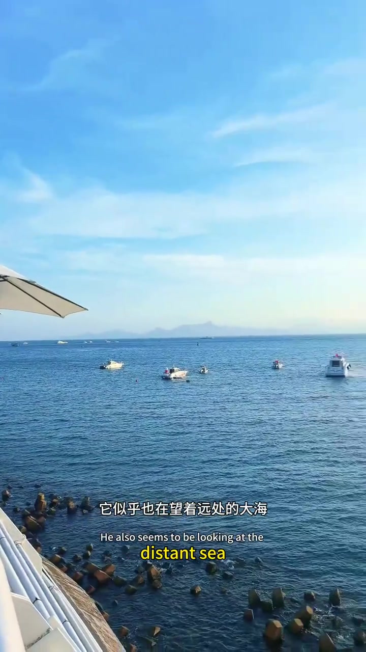 在广东深圳，直面大海喝精致下午茶吃漂亮饭