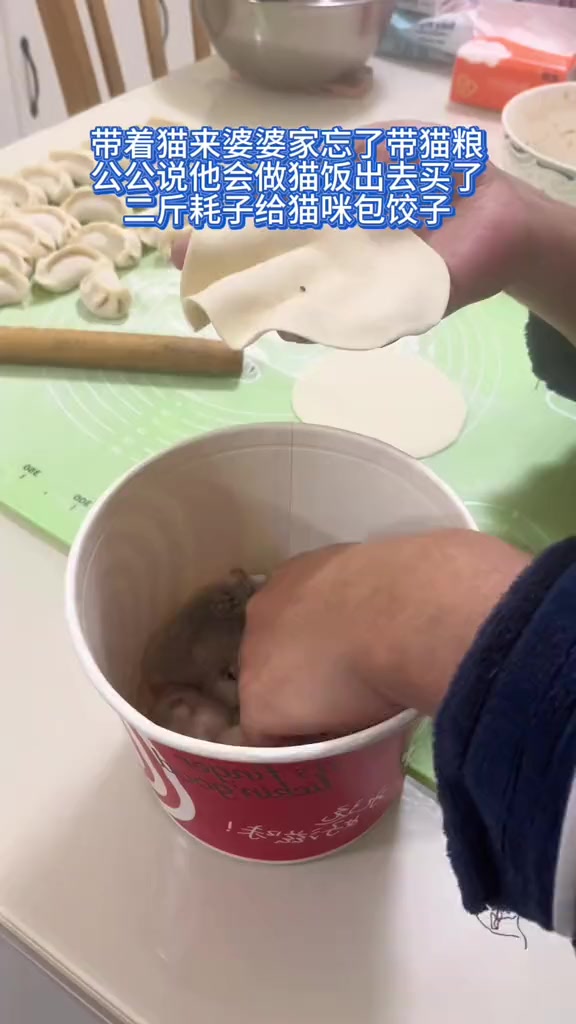 猫咪的饺子