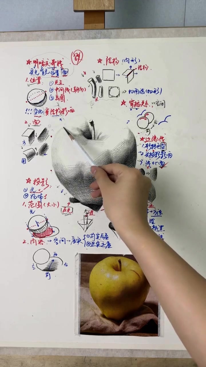 秒懂苹果亮面的素描画法，零基础也能学