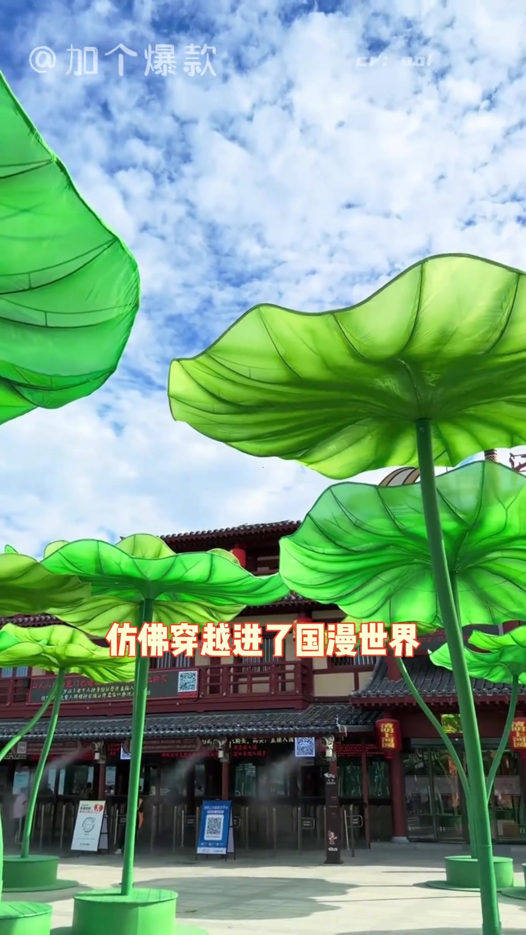荷下乘凉，顶级的中式浪漫！#开封 #清明上河园 #非遗鱼灯 #文旅