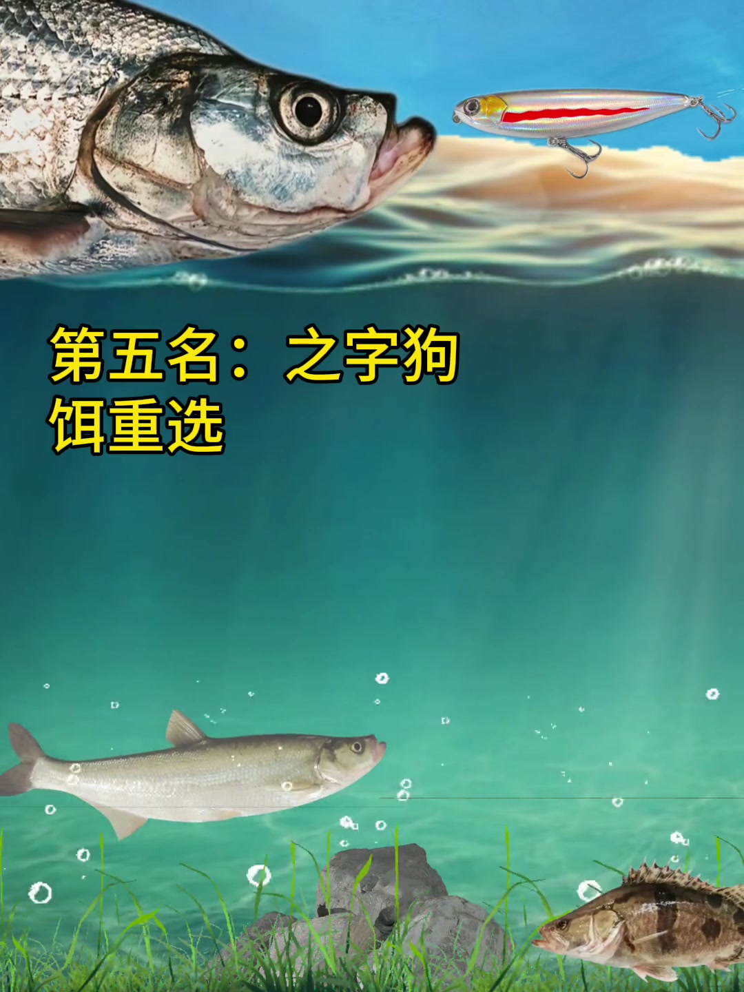 路亚翘嘴：中鱼率最高的假饵推荐