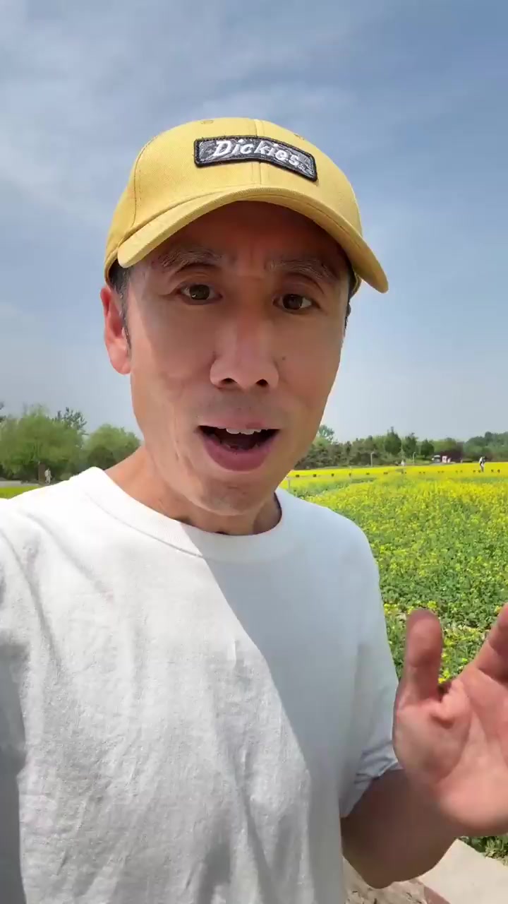 北京大兴永定公园油菜花海游玩指南