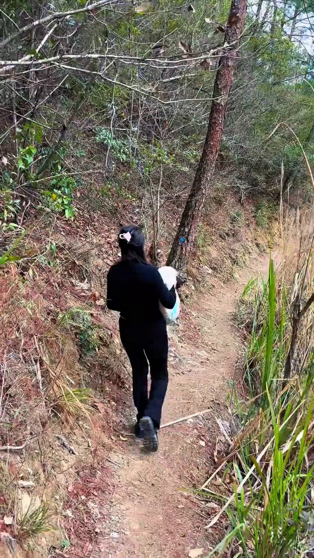 在千岛湖钓鱼，必须得打窝才能上大鱼