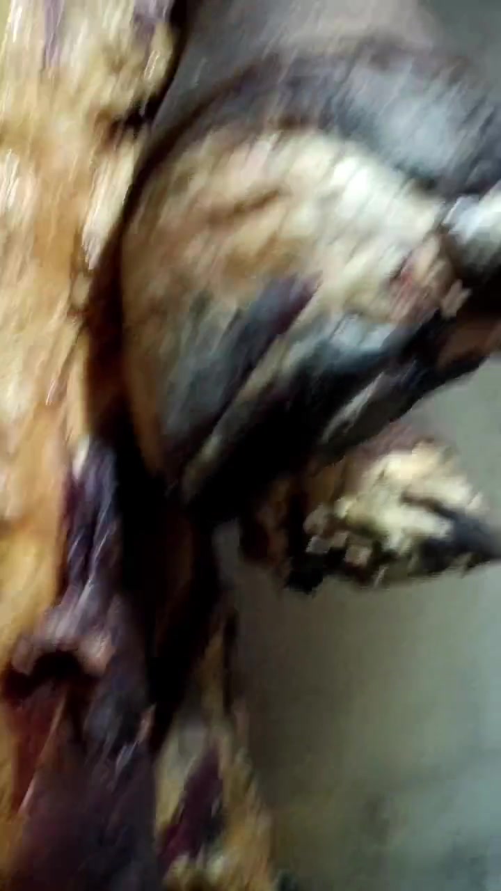 熏好的香肠腊肉，快来吃哟！